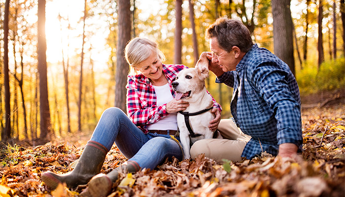 Older couple sitting outside in the fall with their dogs