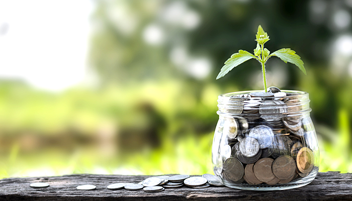 Jar of coins with leaf sprouting out of it sitting on a wooden table