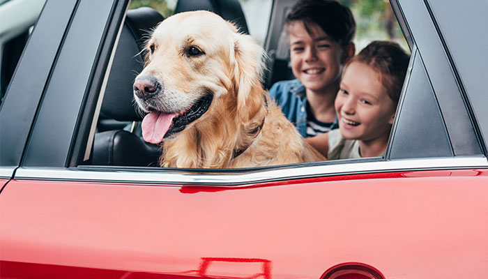 5 Reasons Credit Unions Offer the Best Auto Loans