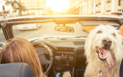 Pre-Approve Your Way to a Better Car Deal