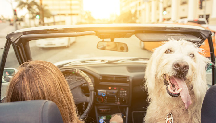 Pre-Approve Your Way to a Better Car Deal