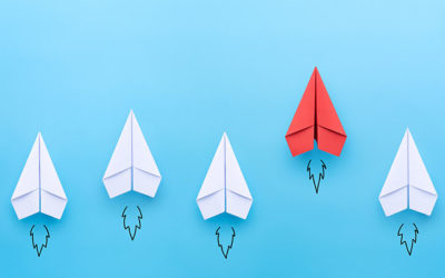 Leadership Opportunities