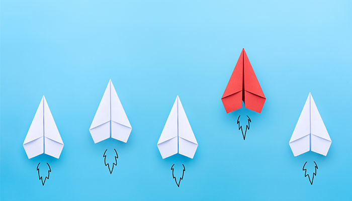 Leadership Opportunity