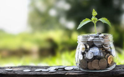 Living Sustainably Saves Resources and $$