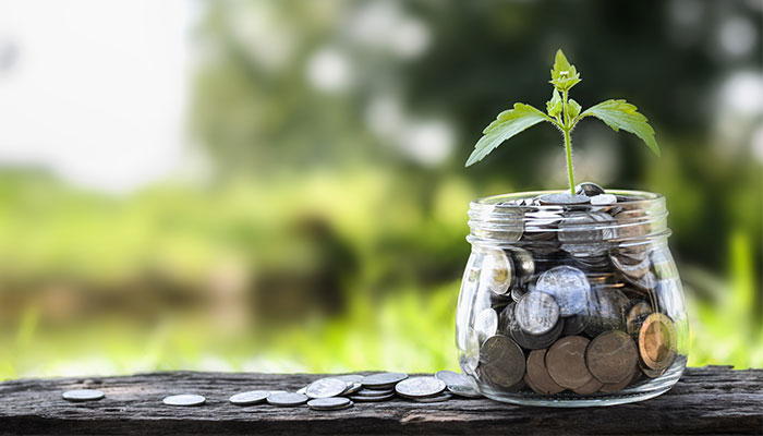 Living Sustainably Saves Resources and Money