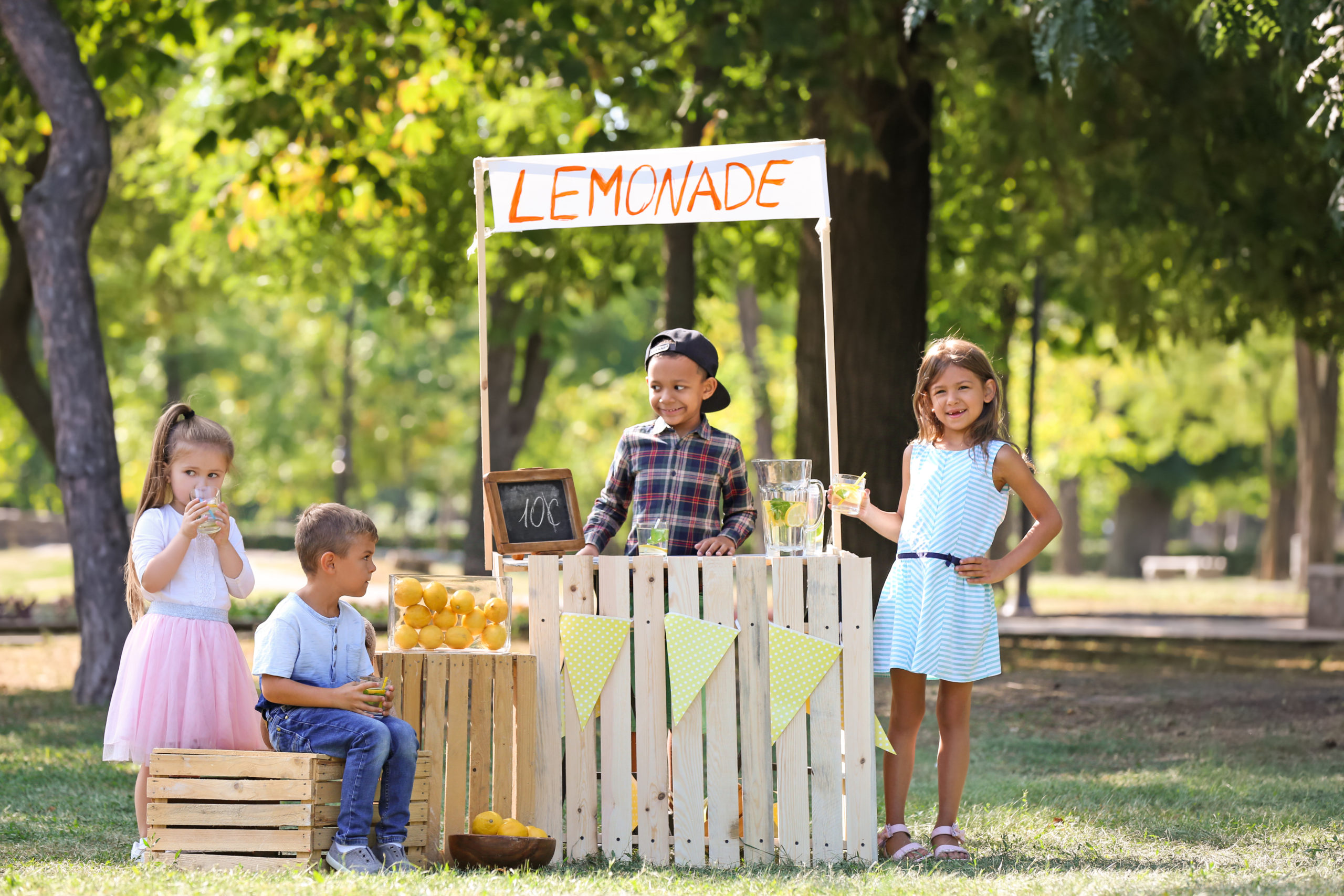 Selling lemonade at counter in park Lemonade Stand