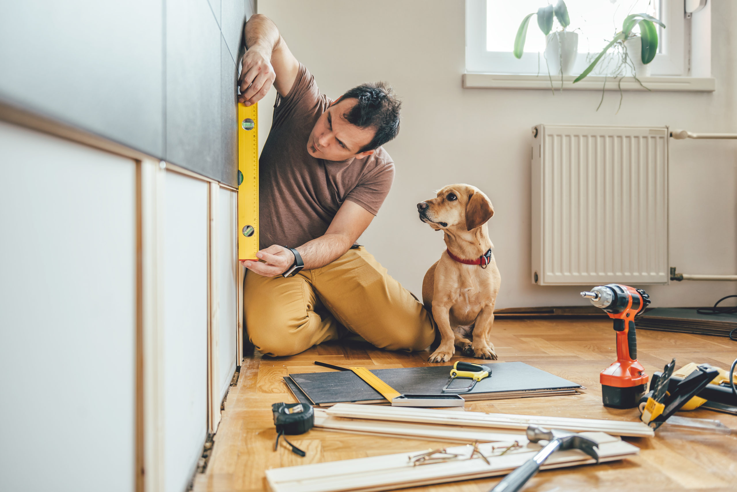 Man and his dog doing renovation work at home Couple Painting House