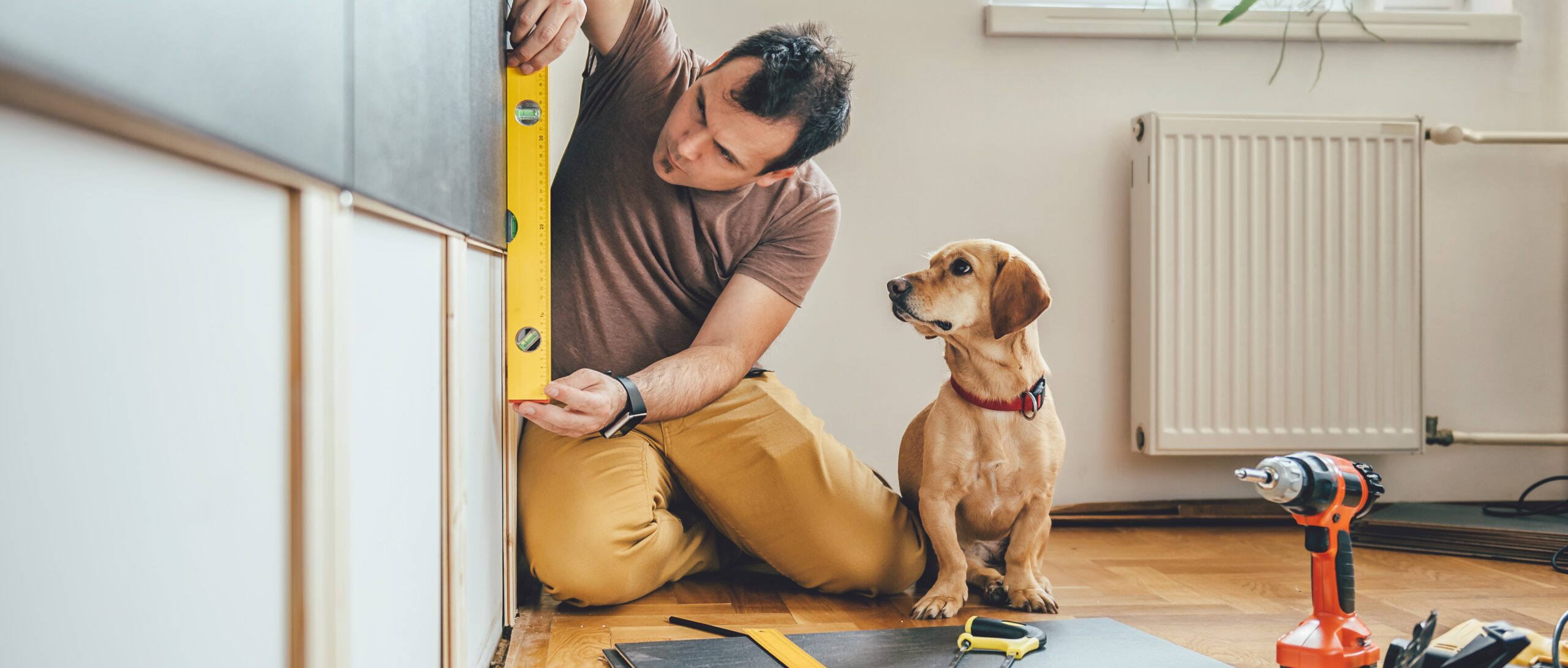 Man and his dog doing renovation work at home Couple Painting House