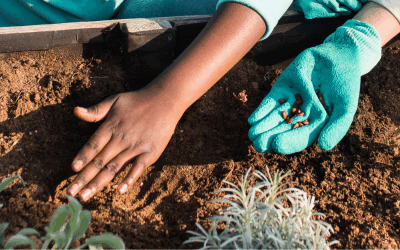 How to have a Financially Productive Summer